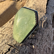 Load image into Gallery viewer, Spooky Tide Coffin Ring