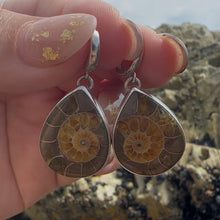 Load image into Gallery viewer, Siren Earrings