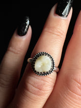 Load image into Gallery viewer, Tooth Ring
