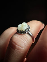 Load image into Gallery viewer, Tooth Ring